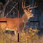 Best Illuminated Scope for Deer Hunting
