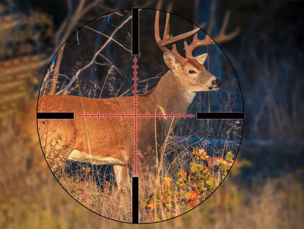 7 Best Illuminated Scopes for Deer Hunting - Survival Moran