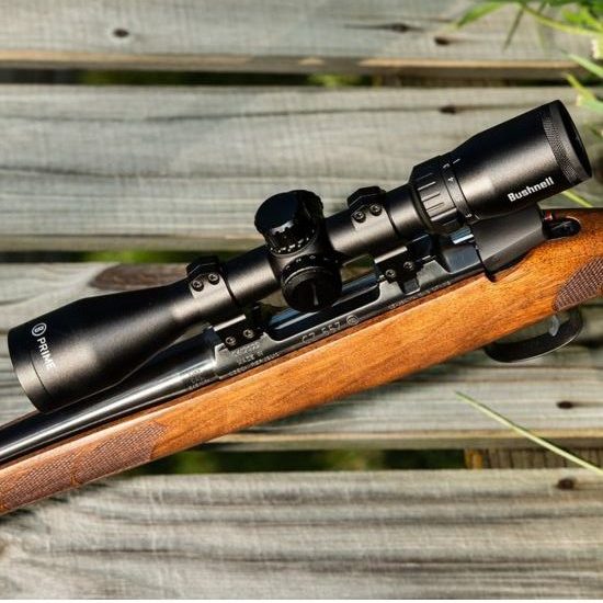 8 Best Low Light Rifle Scopes for Deer Hunting - Survival Moran