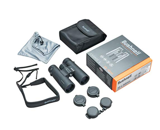 Bushnell Engage 10x42 Binocular