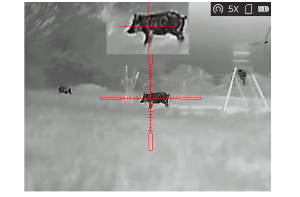 Thermal scope for Coyote hunting.