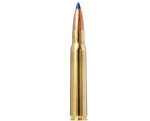 308 Winchester