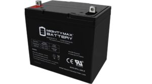 Mighty Max deep cycle battery.