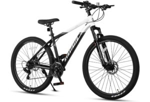 AVASTA Earth 26 27.5 inch Mountain Bike