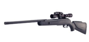 gamo Varmit air rifle