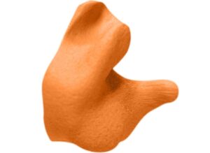 Radians CEP001 earplugs