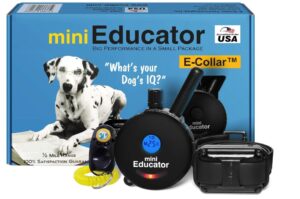 Educator - ET-300 Black - Ecollar Dog Training Collar