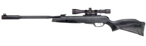 Gamo Whisper Fusion Mach 1 .