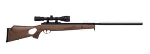 Benjamin Airguns Trail XL Magnum .22-Caliber